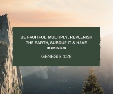 Be Fruitful